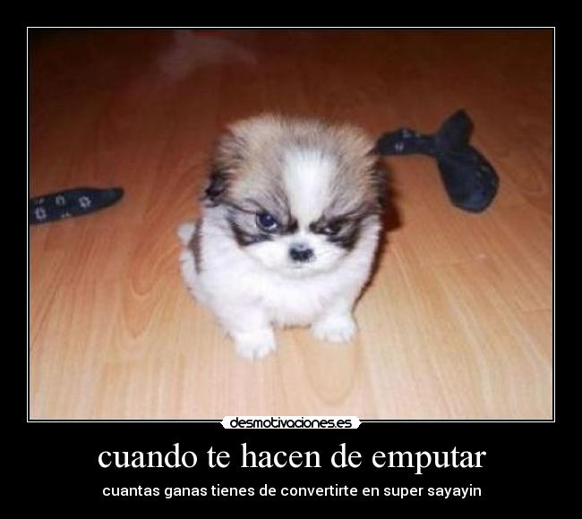 cuando te hacen de emputar - cuantas ganas tienes de convertirte en super sayayin