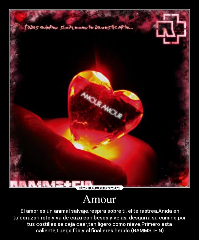 Amour - El amor es un animal salvaje,respira sobre ti, el te rastrea,Anida en
tu corazon roto y va de caza con besos y velas, desgarra su camino por
tus costillas se deja caer,tan ligero como nieve.Primero esta
caliente,Luego frio y al final eres herido (RAMMSTEIN)