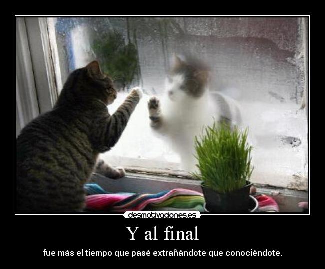 Y al final - 