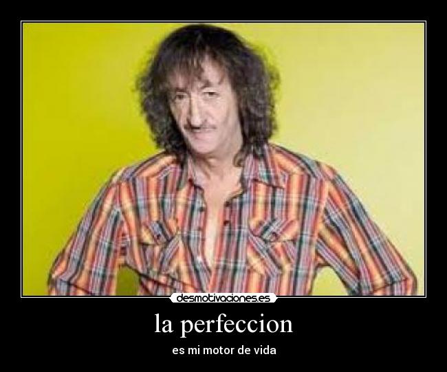 la perfeccion -