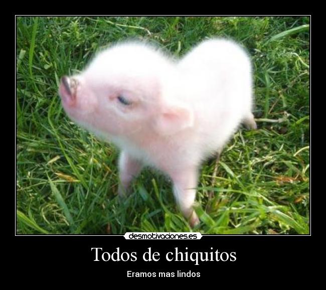 carteles chanchito lindos chicos eramos antes desmotivaciones