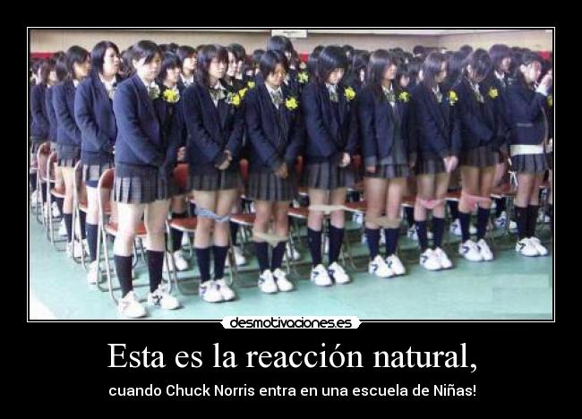 Esta es la reacción natural, -