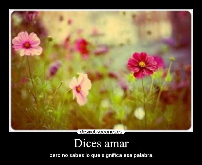 carteles frases amor desmotivaciones