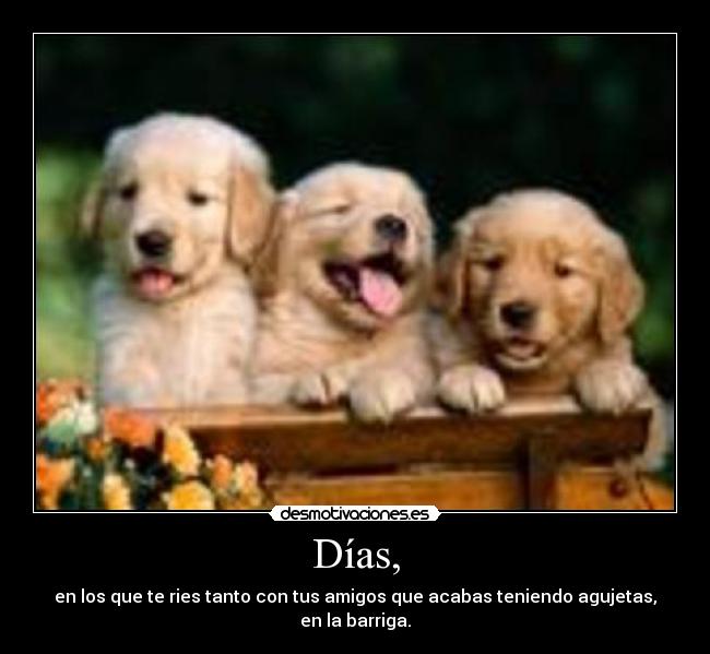 Días, - en los que te ries tanto con tus amigos que acabas teniendo agujetas, en la barriga.