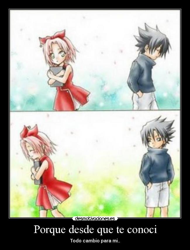 carteles porque desde que conoci desmotivaciones