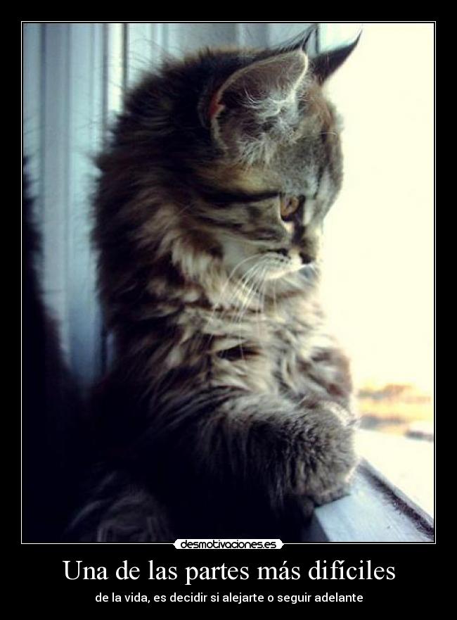 Una de las partes más difíciles -