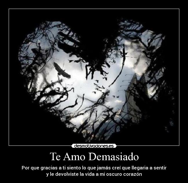 Imagenes Te Amo Demasiado | te amo demasiado desmotivaciones Imagenes Te Amo Demasiado | te amo demasiado desmotivaciones