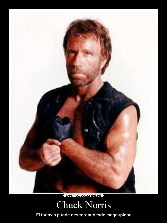 Chuck Norris - El todavia puede descargar desde megaupload