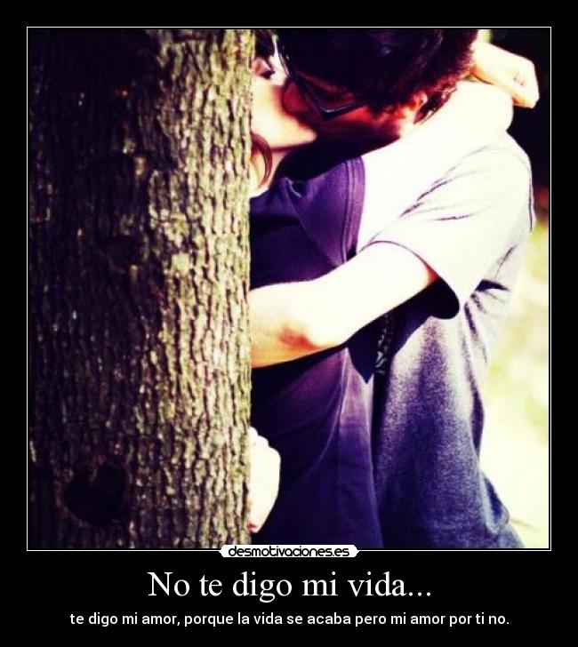 No te digo mi vida... - 