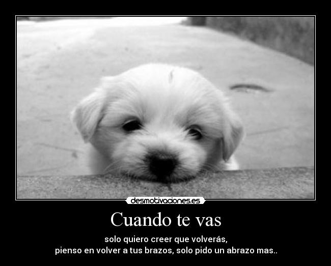 Cuando te vas - 