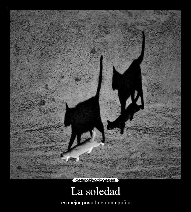 La soledad - 