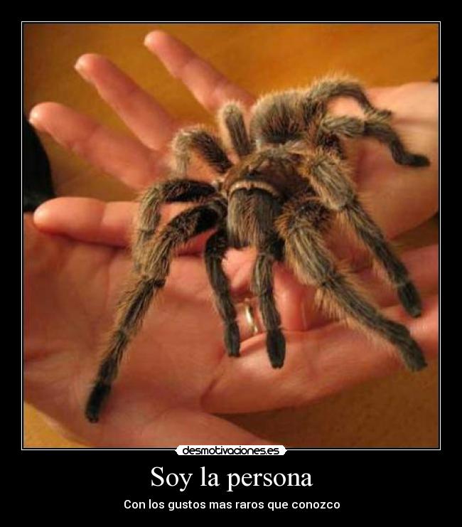 Soy la persona - Con los gustos mas raros que conozco