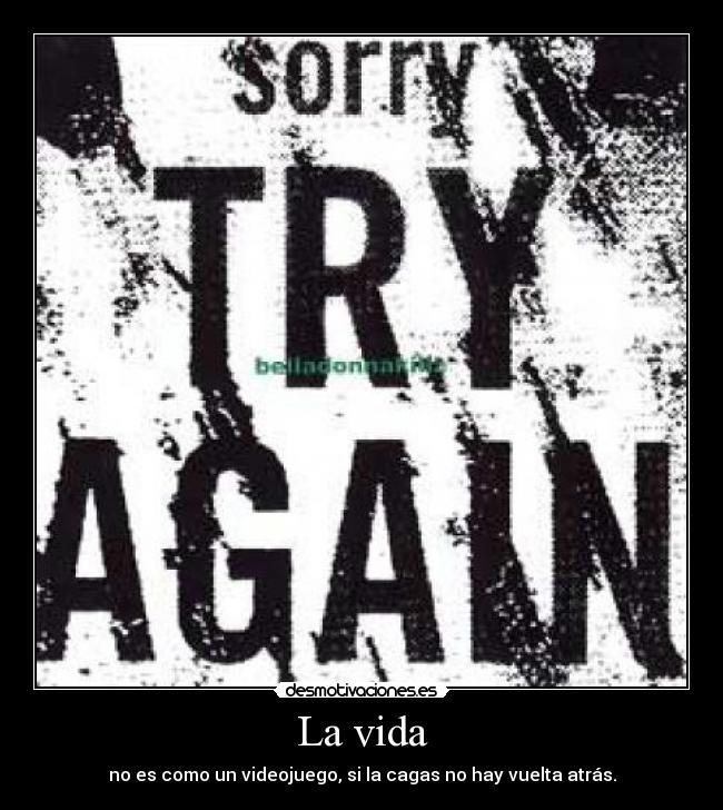 La vida - no es como un videojuego, si la cagas no hay vuelta atrás.