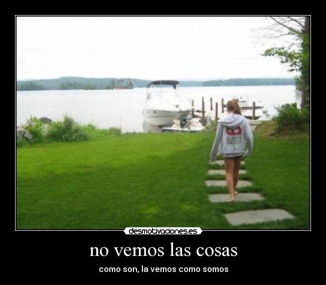 no vemos las cosas - 