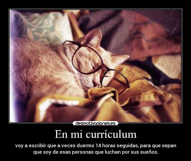 En mi currículum -