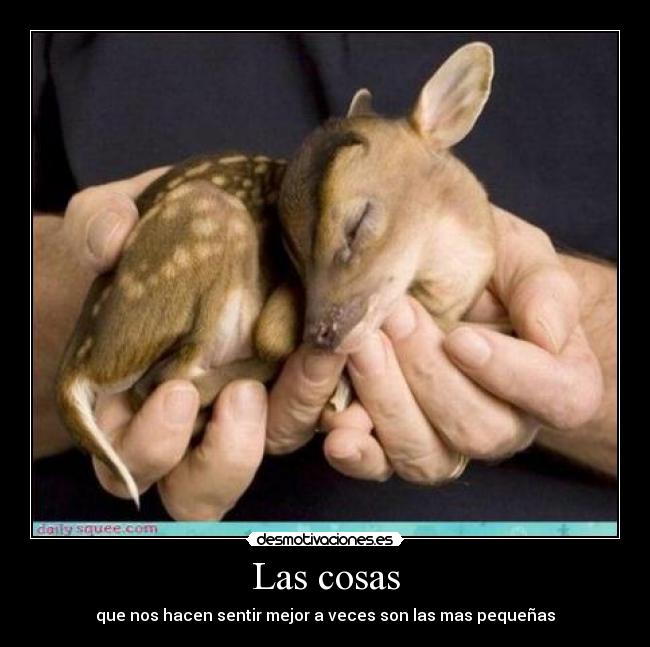 Las cosas - 
