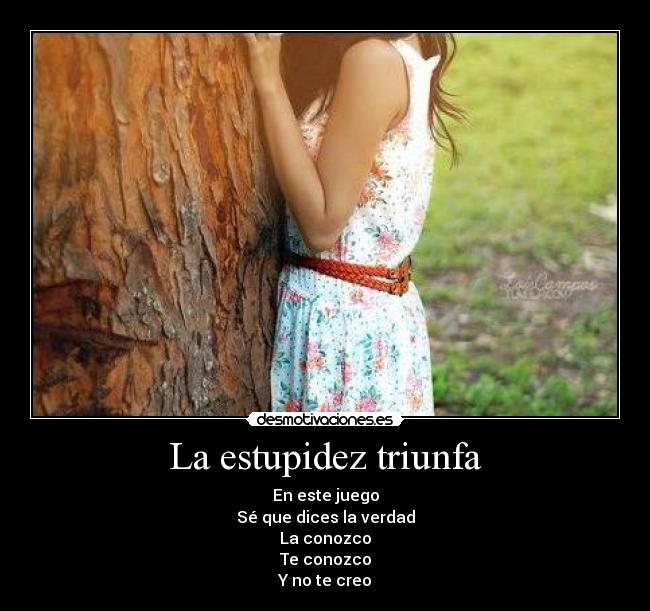 La estupidez triunfa - 