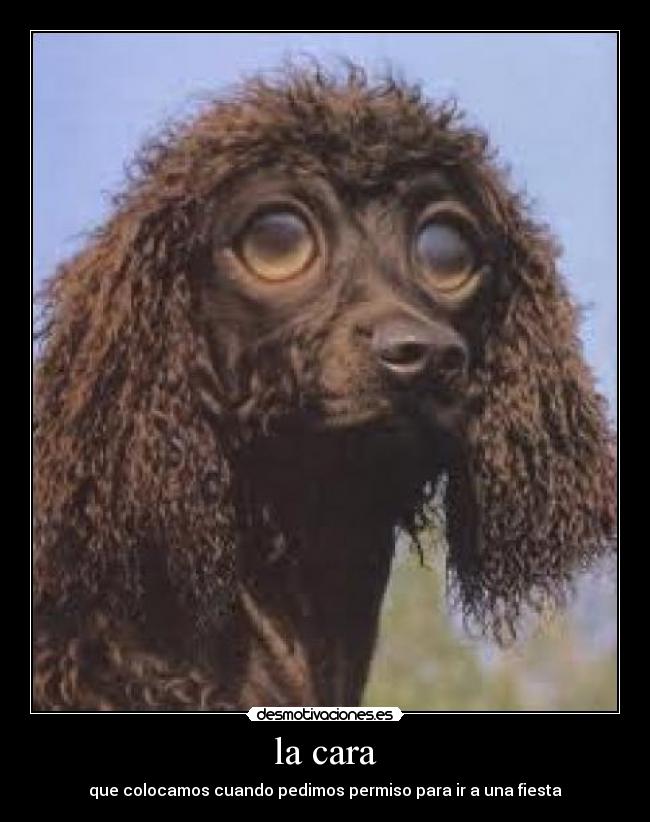 la cara - que colocamos cuando pedimos permiso para ir a una fiesta
