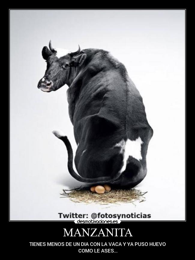 carteles isaac gutierrez desmotivaciones