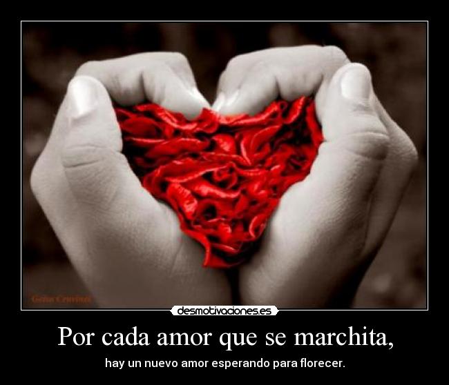 Por cada amor que se marchita, -