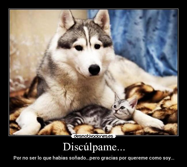 Discúlpame... - Por no ser lo que habias soñado...pero gracias por quereme como soy...