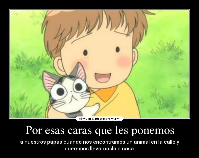 Por esas caras que les ponemos - a nuestros papas cuando nos encontramos un animal en la calle y
queremos llevárnoslo a casa.