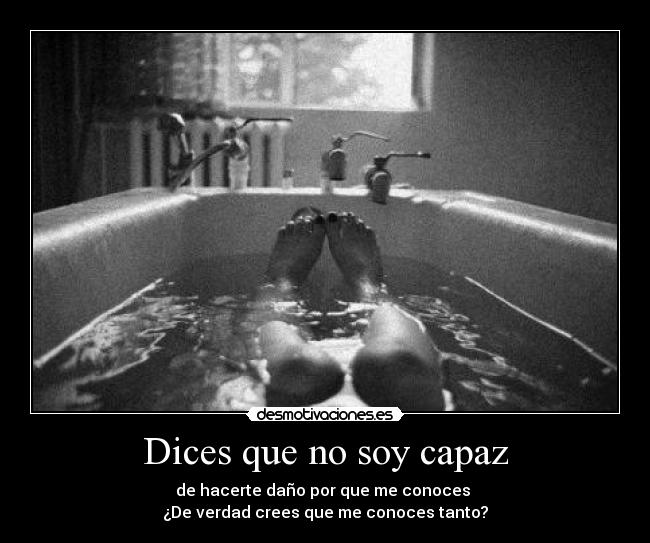 carteles dices que soy capaz desmotivaciones