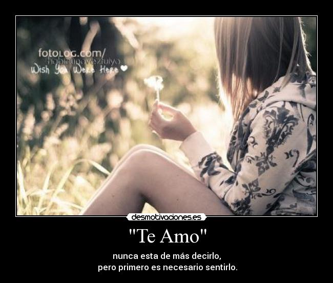 Te Amo - nunca esta de más decirlo,
pero primero es necesario sentirlo.