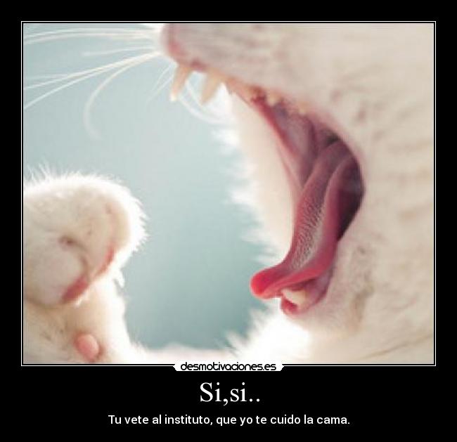 Si,si.. - Tu vete al instituto, que yo te cuido la cama.