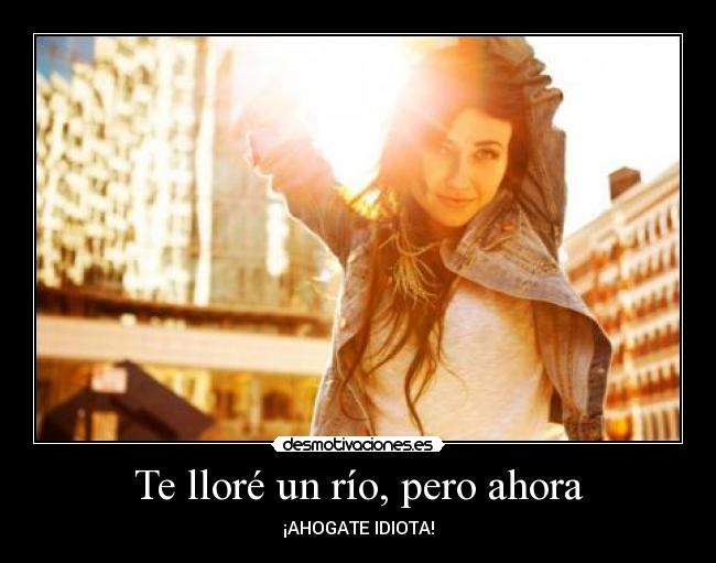 Te lloré un río, pero ahora - ¡AHOGATE IDIOTA!