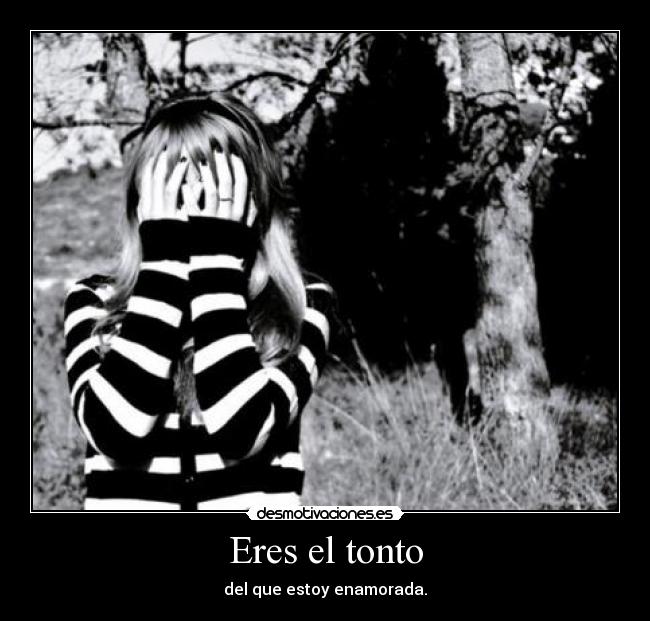 Eres el tonto - del que estoy enamorada.