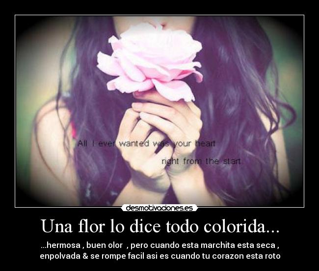 carteles amor desamor desmotivaciones