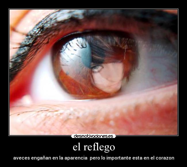 el reflego - 