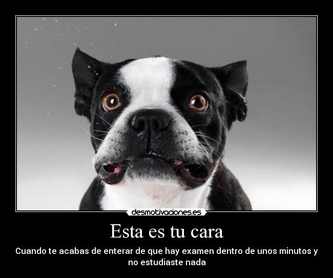 Esta es tu cara - Cuando te acabas de enterar de que hay examen dentro de unos minutos y
no estudiaste nada