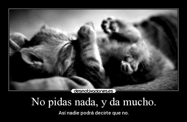 carteles nomiresaqui panoramicas pura puta logica ewe desmotivaciones