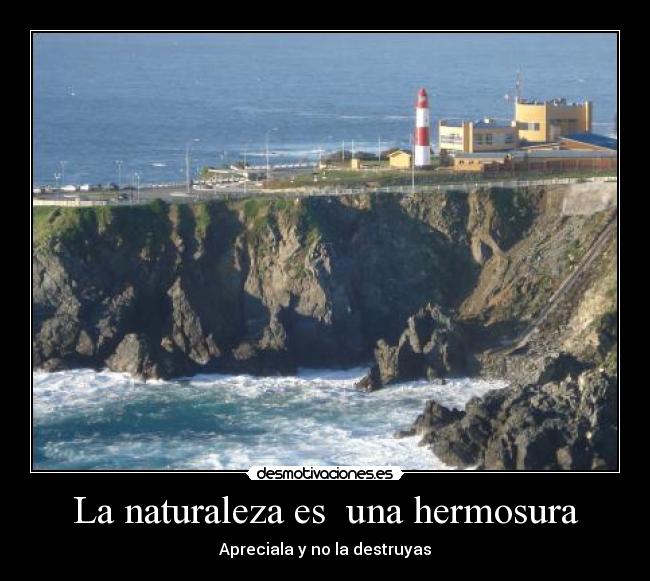 carteles naturaleza jakjadshkjhhakskjakskjn desmotivaciones
