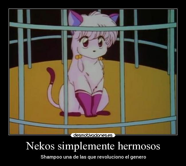 Nekos simplemente hermosos - Shampoo una de las que revoluciono el genero