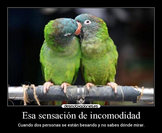 Esa sensación de incomodidad - Cuando dos personas se están besando y no sabes dónde mirar.