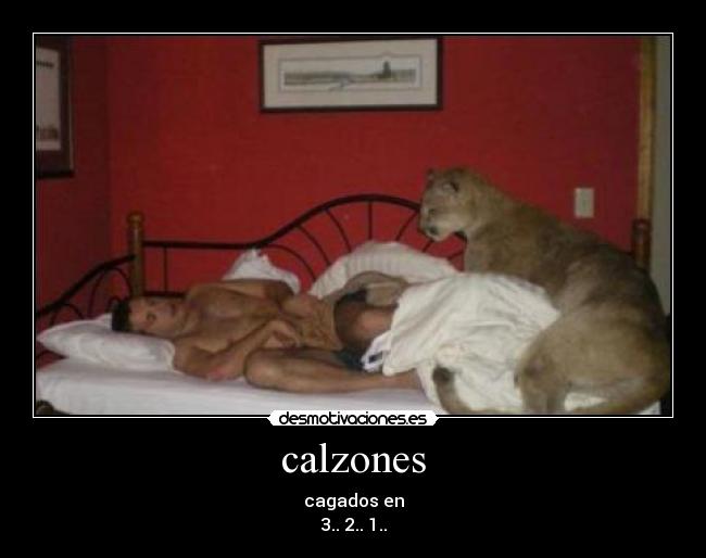 calzones - cagados en
3.. 2.. 1..