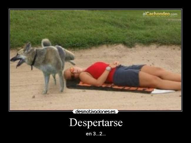 Despertarse - 