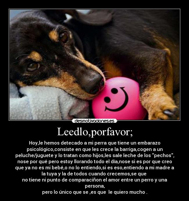 Leedlo,porfavor; - Hoy,le hemos detecado a mi perra que tiene un embarazo
psicológico,consiste en que les crece la barriga,cogen a un
peluche/juguete y lo tratan como hijos,les sale leche de los pechos,
nose por qué pero estoy llorando todo el día,nose si es por que creo
que ya no es mi bebé,o no lo entiendo,si es eso,entiendo a mi madre a
la tuya y la de todos cuando crecemos,se que 
no tiene ni punto de comparaciñon el amor entre un perro y una
persona,
pero lo único que se ,es que  le quiero mucho .
