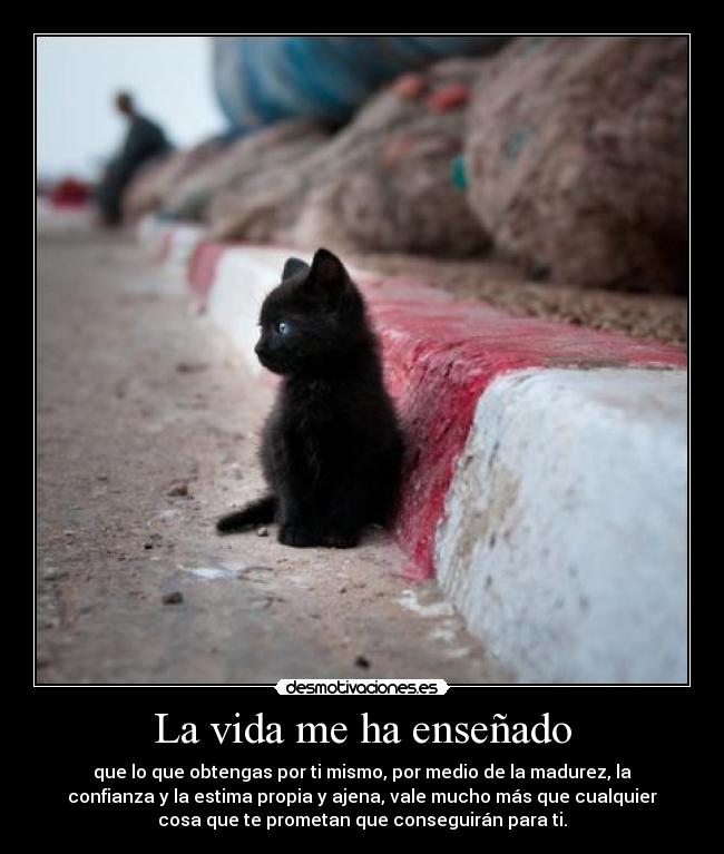 La vida me ha enseñado -
