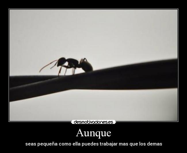 Aunque -