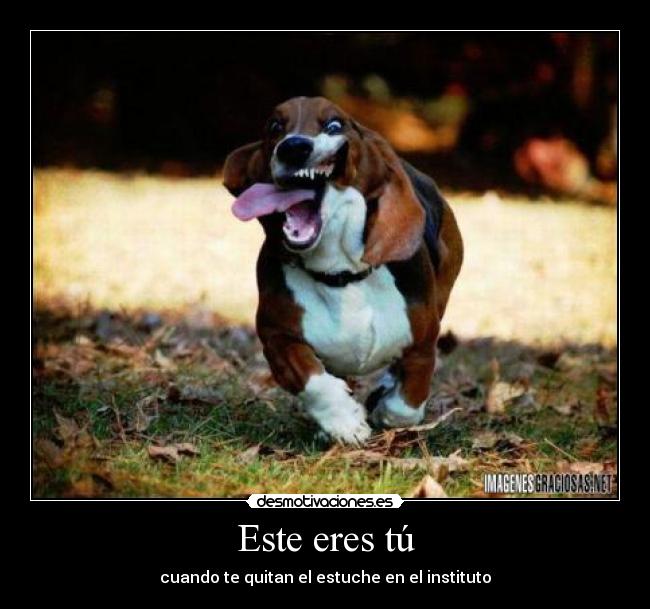 carteles rabiosos que nos ponemos ganas matar jewjew desmotivaciones