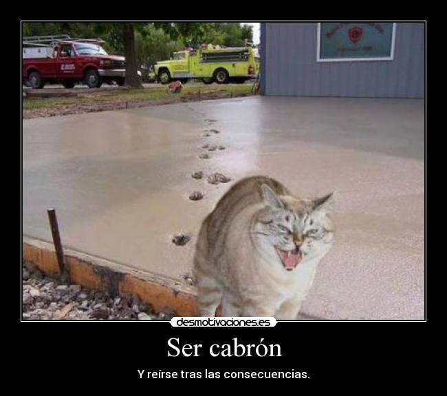 Ser cabrón - Y reírse tras las consecuencias.