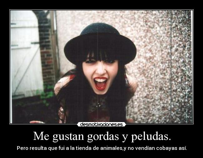 Me gustan gordas y peludas. - Pero resulta que fui a la tienda de animales,y no vendían cobayas así.