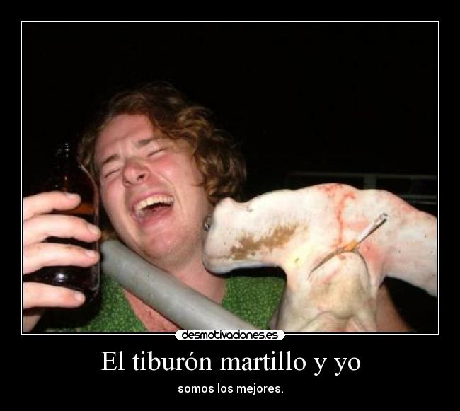 El tiburón martillo y yo - somos los mejores.