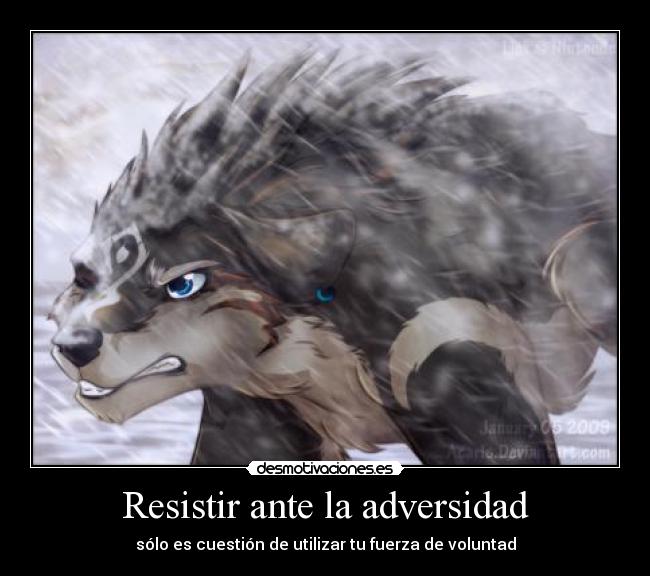 carteles link lobo thelegendofzelda twilightprinncess quiennosabes resistir ante adversidad desmotivaciones
