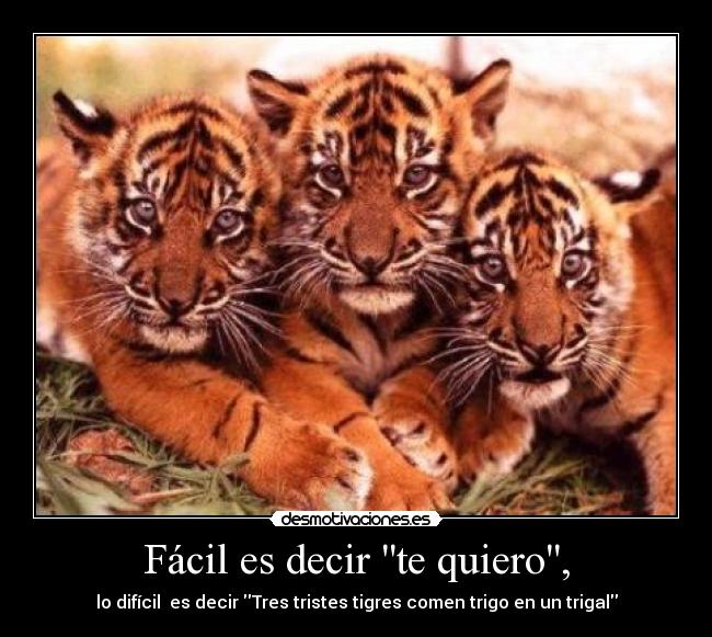 Fácil es decir te quiero, - lo difícil  es decir Tres tristes tigres comen trigo en un trigal