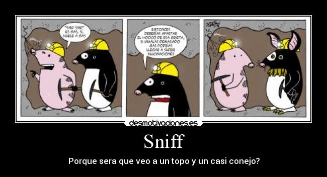 Sniff - Porque sera que veo a un topo y un casi conejo?